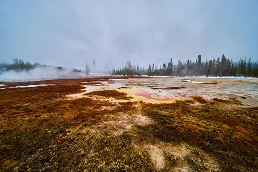 Winter on foggy morning in Yellowstone with colorful basin