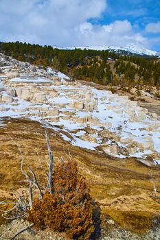 Yellowstone Mammoth Hot Spring terraces covered in snow