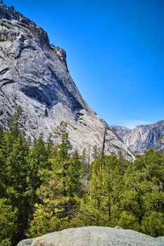 View from boulder of Yosemite valley filled with pine trees and waterfall in distance