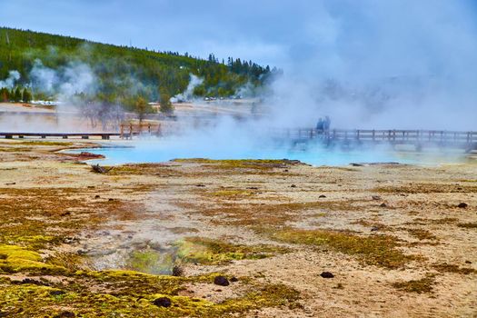 Waves of sulfur steam come off pools in Yellowstone Biscuit Basin