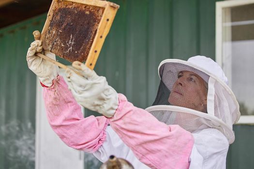 Take the time to inspect your beehives. a woman working with a hive frame on a farm.