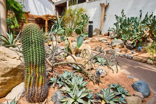 Greenhouse filled with cactus plants along walking paths