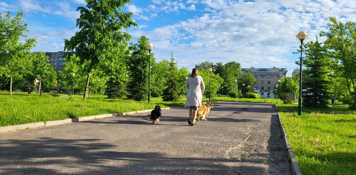 A woman walking with her dog on a leash, on the street, in the park on an asphalt path.