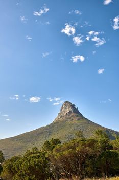 The majestic, wonderful and beautiful Lions Head mountain from below. Blue sky copy space over mountainous landscape terrain in Cape Town, South Africa. Lush green flora in a protected nature reserve