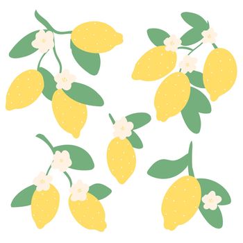 Lemon flowers and fruits exotic tropical set