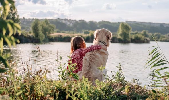 Child with golden retriever dog outdoors