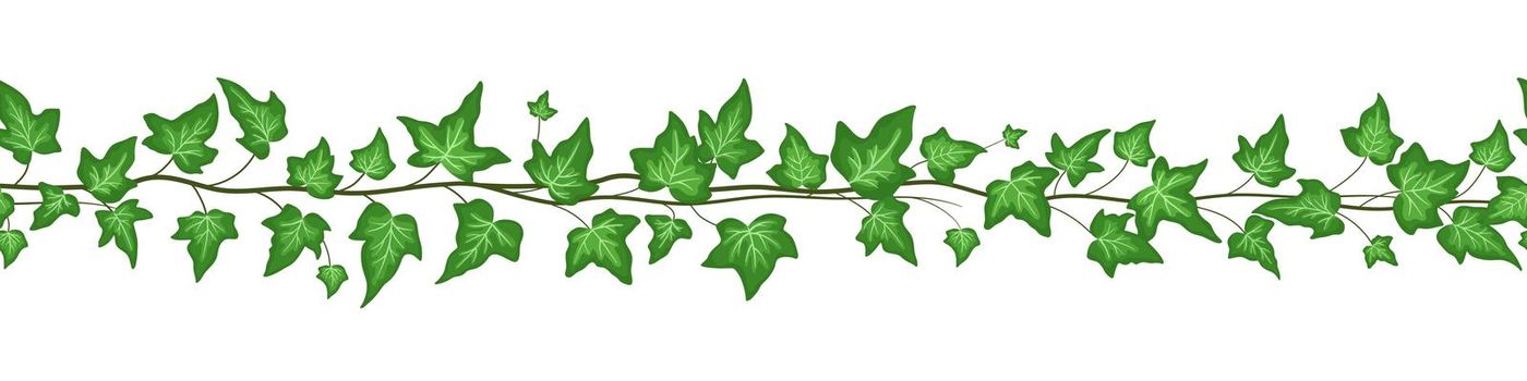 Seamless border with green ivy leaves isolated on white background. Vector flat cartoon illustrations. Vine climbing ivy