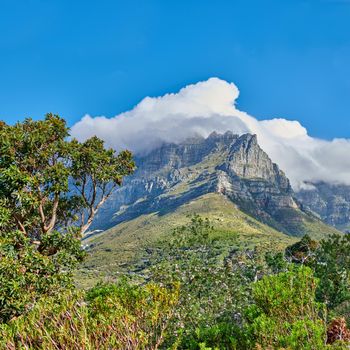 Peaceful nature in harmony with soothing views of plants and landscape. Thick clouds covering Table Mountain in Cape Town on a sunny day. Cloud shapes and shadows passing over rocky terrain