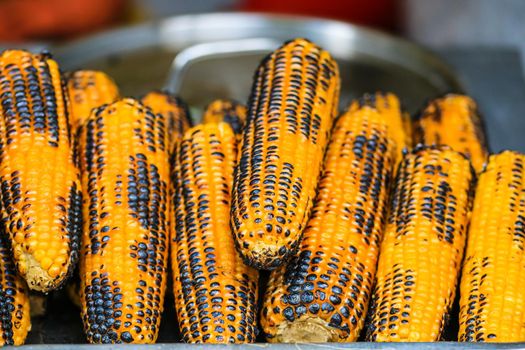 Grilled, roasted sweet corn ready to sell at a street food festival
