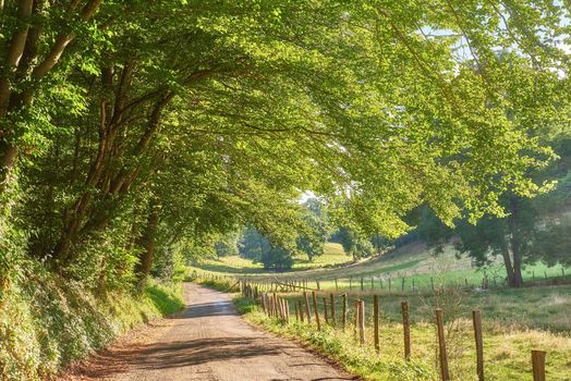 A countryside dirt road leading to agriculture fields or farm pasture in remote area location with serene and vibrant trees. Landscape view of quiet, lush, green scenery of farming meadows in France.