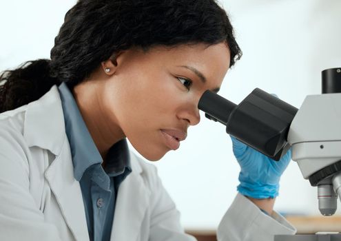 Shes ready to do the work. a young woman using a microscope in a scientific lab.
