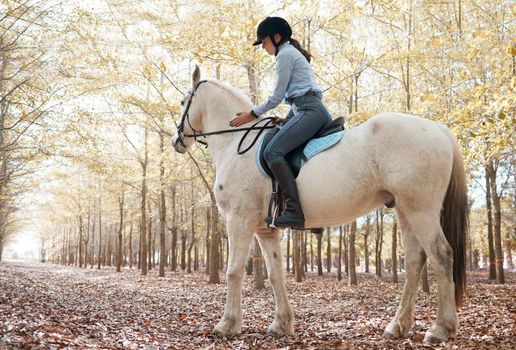 A good trainer can hear a horse speak to him. an attractive young woman riding with her horse outside.