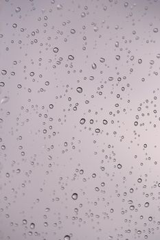 fressh background of water drops 