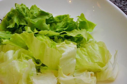 Lettuce salad close up view