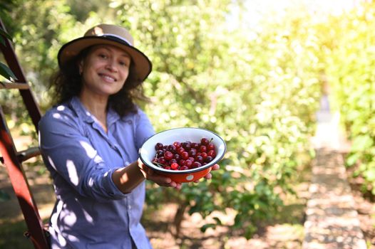 Focus on a bowl with freshly harvested ripe cherry berries in the hands of a smiling pretty woman farmer in an orchard