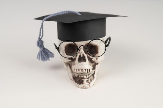 Toy plastic skull with academic cap and glasses.