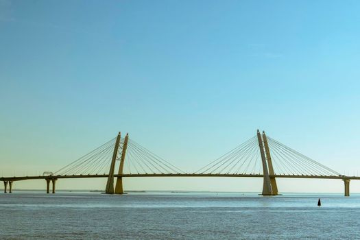 cable-stayed bridge across the bay, western high-speed diameter