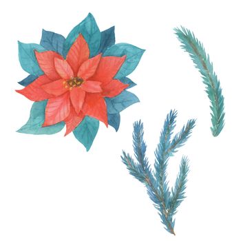 Poinsettia Flower and Fir Tree Branch Set. Watercolor illustration isolated on white