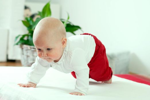 Toddler learns to crawl