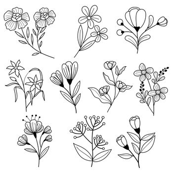 Hand drawn flowers outline