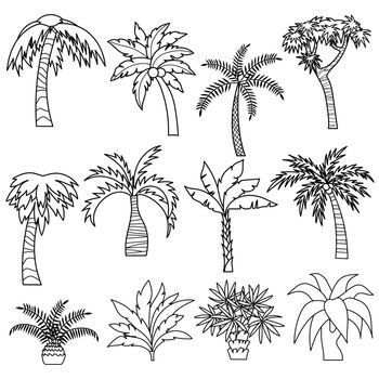 Palm tree cartoon in outline style