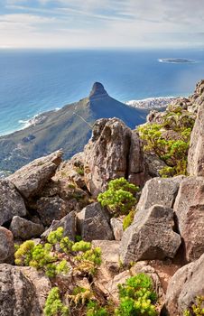 Beautiful panoramic view of Table mountain in Cape Town, Lush green bushes and trees growing on rocky peaks in calm nature in harmony. A scenic natural tourist destination in the Western cape