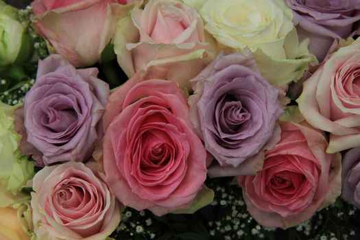 Bridal roses in soft colors