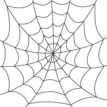 Vector cobweb background. Halloween spider web