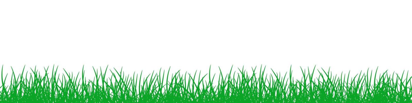 Green Grass on white background.