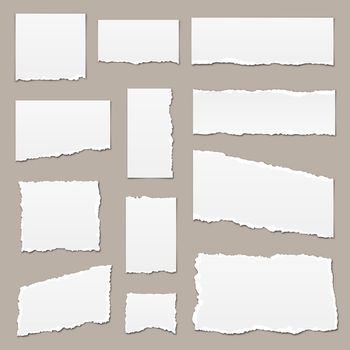 White torn paper. Torn paper scraps. Paper pieces isolated. Ripped paper strips