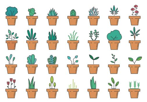 Set of floral plants in pots. Houseplant icons. Flowerpot linear icons.