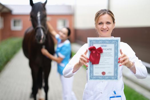 International veterinary certificate for sport horses closeup
