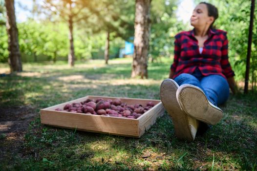 Focus on sole of the sneakers of a blurred woman farmer resting on the backyard, next to a crate of freshly dug potatoes