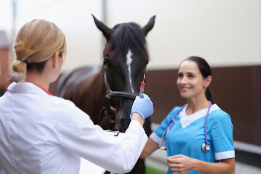 Two veterinarians are examining horse holding test tube for biological analysis