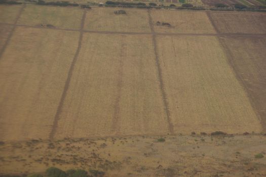 Aerial of empty dry crops fields