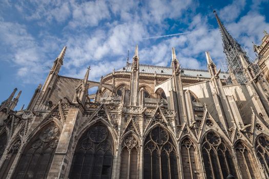 Notre Dame of Paris columns and archs, side view details