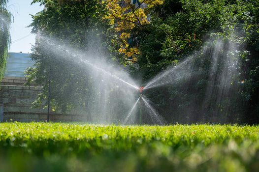 Automatic lawn sprinkler. Humidification of the grass in the dry summer period.