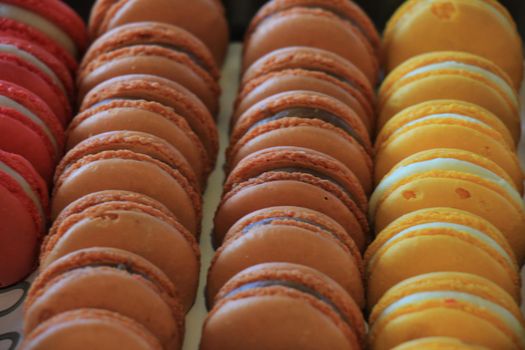 Macarons in various flavors and colors