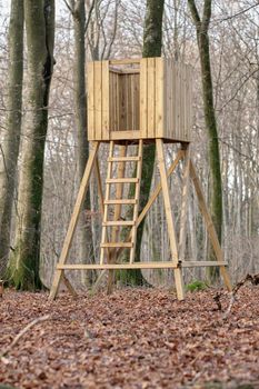 Hunting tower, wooden treehouse and observation structure in a forest or remote countryside woods. Timber wood lookout built for watching wildlife, birds and wild animals in quiet and peaceful nature