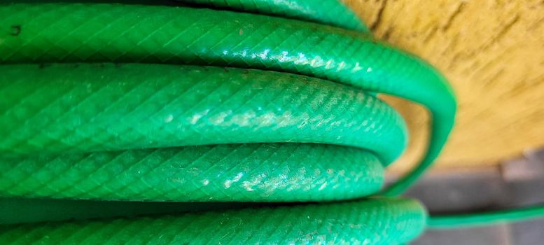green garden hose rolled up in yard on a sunny day