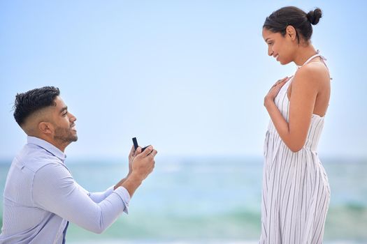 I knew you were the one from the moment we met. a young man proposing to his girlfriend on the beach.