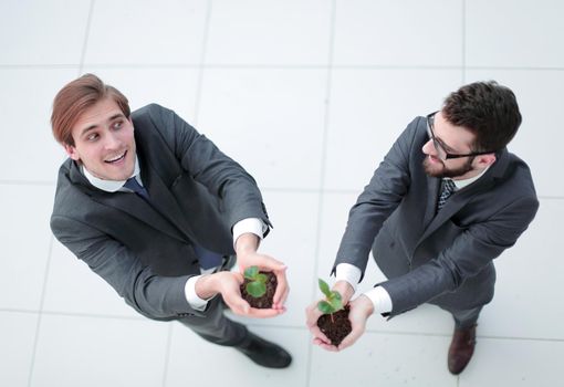 top view.two smiling businessmen with green sprout