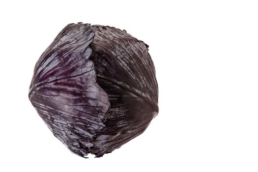 purple cabbage or red cabbage isolate