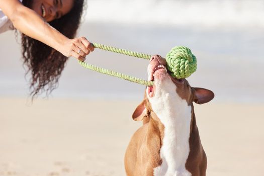 Pets are experts in play. a woman playing with her pit bull at the beach.