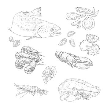 Seafood and fish in vintage style