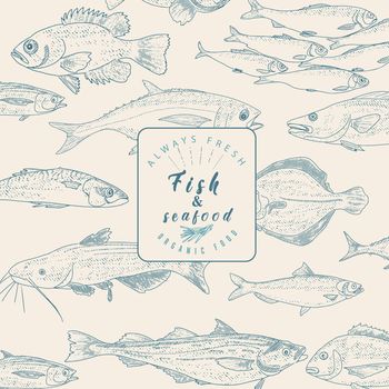 Fish sketch collection in engraved style. Hand drawn seafood frame, fish menu. Hand drawn salmon, perch, tuna, flounder, herring, trout, codfish mackerel