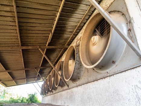 A row of exhaust fans from the livestock house