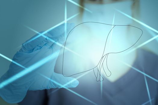 Female doctor touches virtual Liver in hand. Blurred photo, handrawn human organ, highlighted red as symbol of disease. Healthcare hospital service concept stock photo.
