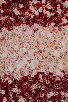 Amazing roses background. Million flowers in pink, red and white colors. Wedding decoration. Artificials, perfect for mock-up projects, design