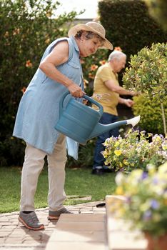 Water me, Ill grow for you. an elderly couple watering plants in their backyard.
